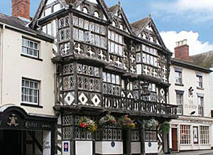 The Feathers Hotel