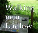 Walking Near Ludlow