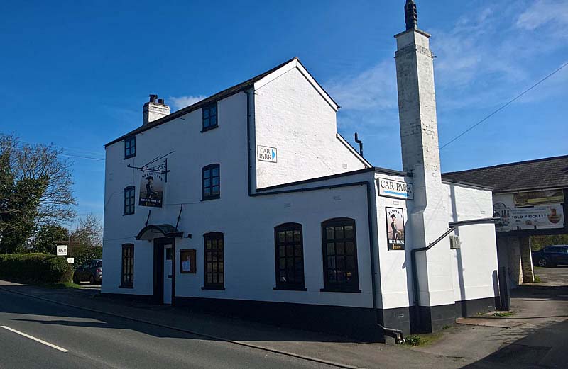 The Nelson